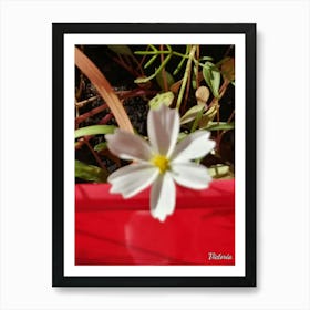 White Flower 4 Art Print