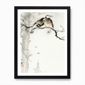 Two Gray Starlings (1900 1936), Ohara Koson Art Print