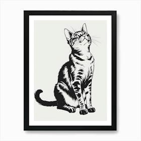 Cat Looking Art Print