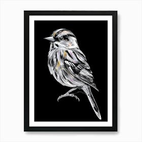 Bird On A Black Background Poster