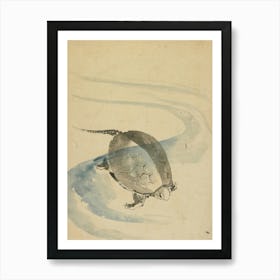 Turtle In Water Art Print