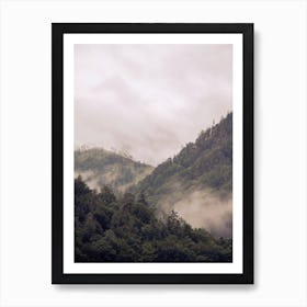 Misty Moody Woods Art Print