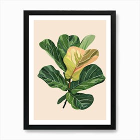 Fiddle Leaf Fig Plant Minimalist Illustration 2 Art Print