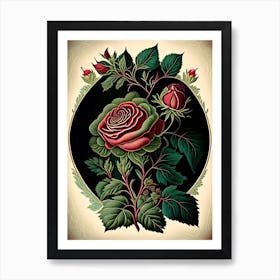 Rose Herb Vintage Botanical Art Print