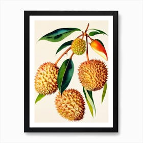 Durian Watercolour Fruit Painting Fruit Art Print