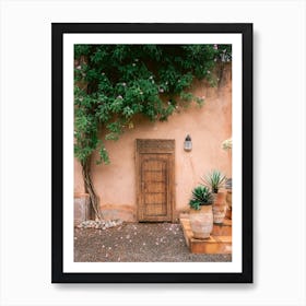 Details Of Ourika, Morocco Art Print