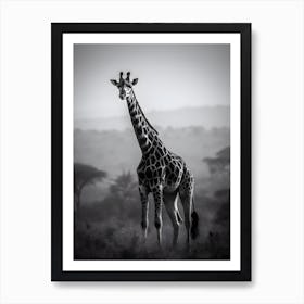 Giraffe in the Nature Art Print