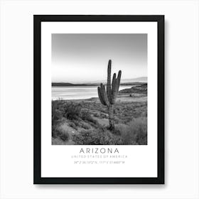 Arizona Cactus Art Print