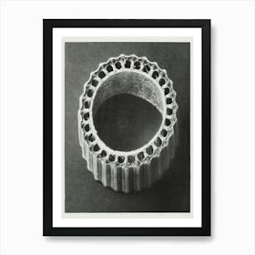 Winter Horsetai (1928), Karl Blossfeldt Art Print