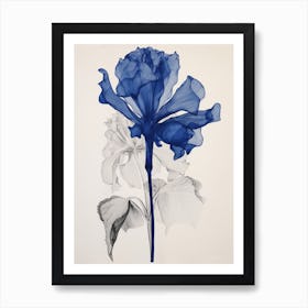 Blue Botanical Amaryllis 1 Art Print