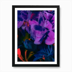 Purple Flowers 3 Art Print