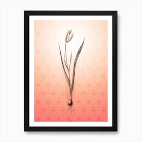 Lady Tulip Vintage Botanical in Peach Fuzz Asanoha Star Pattern n.0083 Art Print