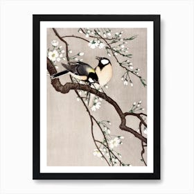 Blue Tits on a Cherry Blossom Branch Vintage 19th Century Birds Painting Art Print