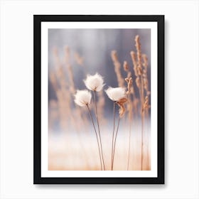 Cotton Flowers Art Print