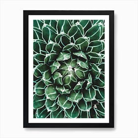 Green Cactus Heart Poster