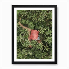 Sri Lanka Jungle House Art Print