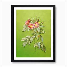 Vintage Pasture Rose Botanical Art on Love Bird Green Art Print