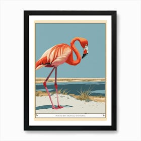 Greater Flamingo Walvis Bay Erongo Namibia Tropical Illustration 2 Poster Affiche