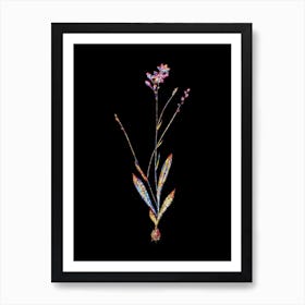 Stained Glass Gladiolus Junceus Mosaic Botanical Illustration on Black Art Print