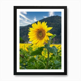 Sunflower In The Field 1 Art Print