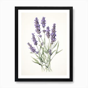 Lavender Vintage Botanical Herbs 3 Art Print