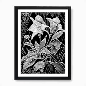 Wild Ginger Wildflower Linocut 2 Art Print