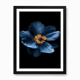 Blue Anemone Flower 1 Art Print