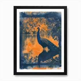 Orange & Blue Vintage Peacock In The Water 1 Art Print