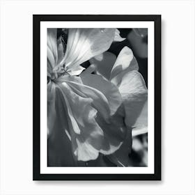 Close up flower Art Print