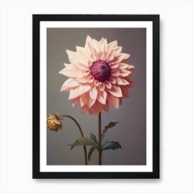 Floral Illustration Dahlia 1 Art Print