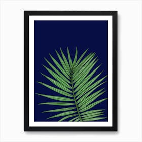 Palm Leaf On A Blue Background Art Print