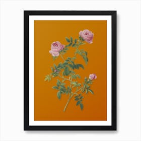 Vintage Rose of the Hedges Botanical on Sunset Orange n.0817 Art Print