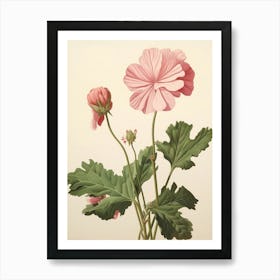 Floral Illustration Geranium 2 Art Print