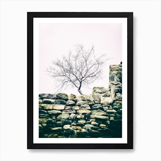 The Tree On The Wall Art Print