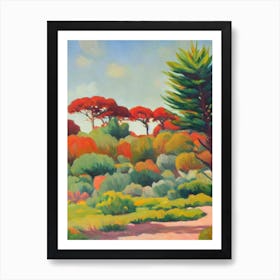 Monkey Puzzle Tree Tree Watercolour Art Print