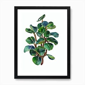 Desert Rose Plant (Adenium Obesum) Watercolor Art Print