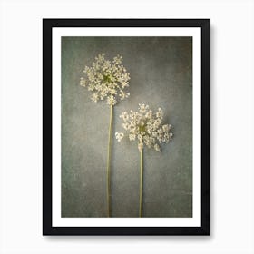 Foraged 3 Art Print