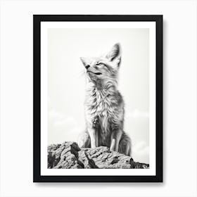 Tibetan Sand Fox Portrait Pencil Drawing 6 Art Print