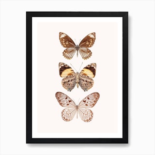 Butterflies VI Art Print