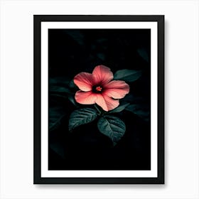 Hibiscus Flower 7 Art Print