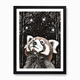 Red Panda Looking At A Starry Sky Ink Illustration 1 Art Print
