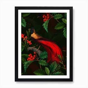 Night Vintage Paradise Bird Garden Art Print