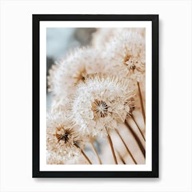 Allium Art Print