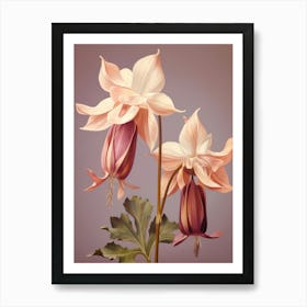 Floral Illustration Columbine 3 Art Print