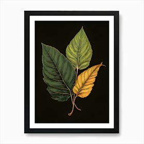 Three Leaves On A Black Background 1 Art Print