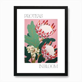 Proteas In Bloom Flowers Bold Illustration 1 Art Print