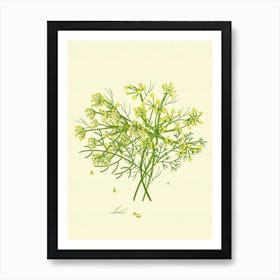 Dill Crowns Bouquet Botanical Art Print