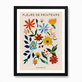 Spring Floral French Poster  Edelweiss 2 Art Print