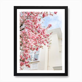 London Magnolia Bloom Art Print