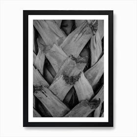 Palm Bark Art Print